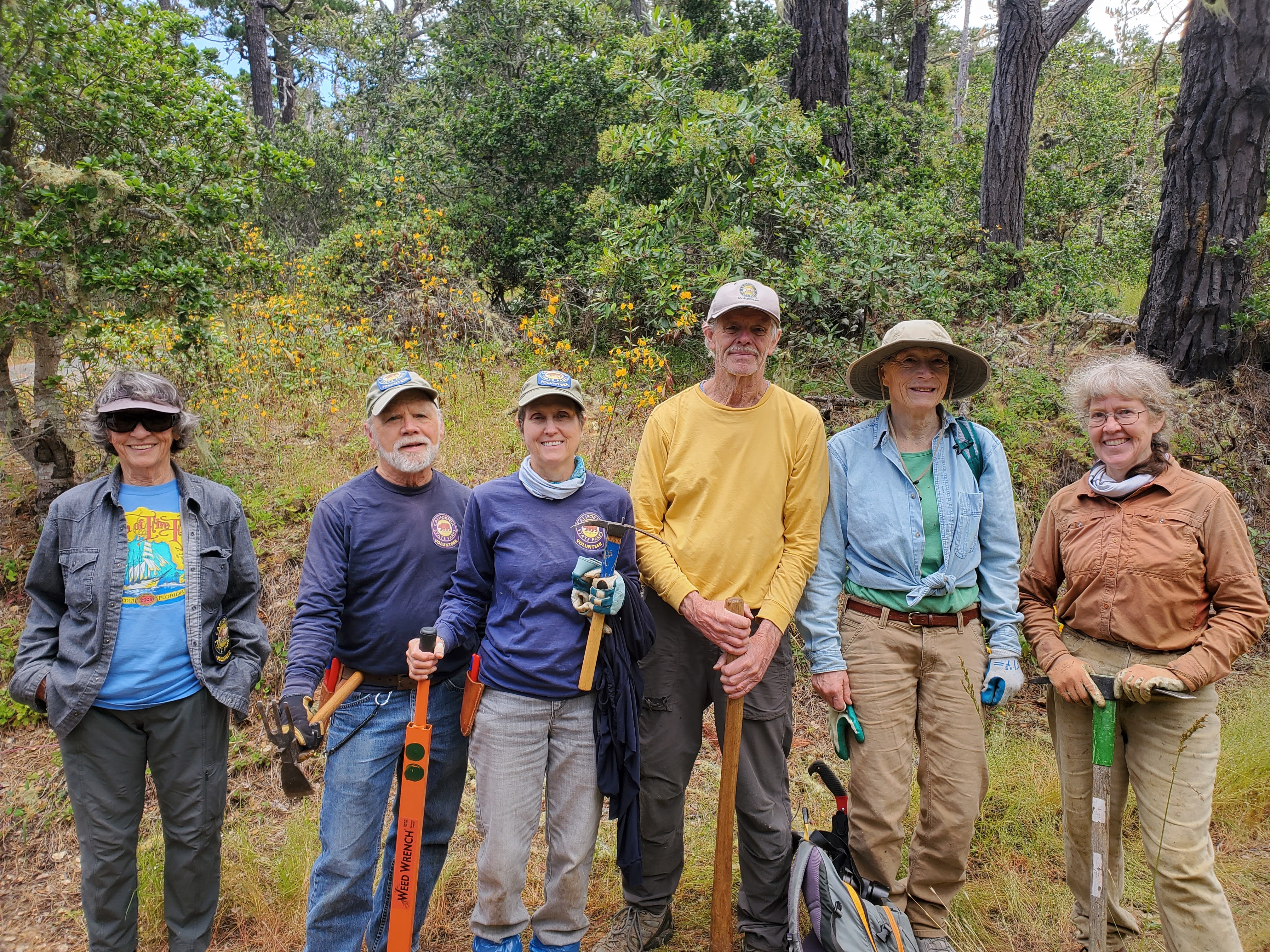 Volunteers pose in the pine forest after a morning removing invasive French Broom at Ishxenta State Park.